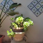 La Terrazza Di Massimo Appartement Palerme