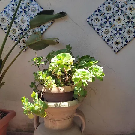 La Terrazza Di Massimo Apartment Palermo